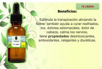 EXTRACTO TE LIMON